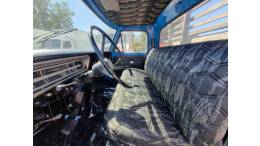 FORD - F-350 - 1976/1976 - Azul - R$ 40.000,00