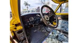 FORD - F-4000 - 1976/1976 - Amarela - R$ 50.000,00